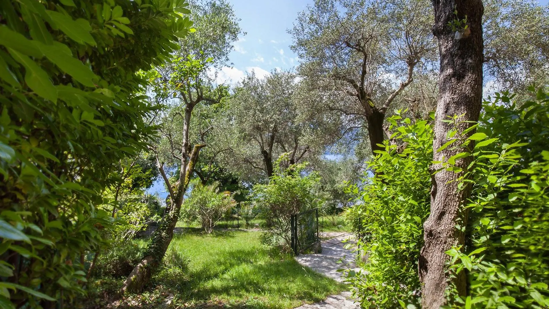公寓 Villa Andy-Appartamento Con Vista Lago 托里德尔贝纳科